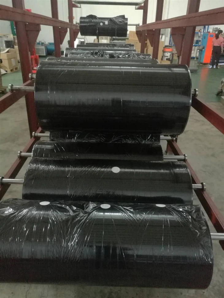 Premium Resin Ribbon CW709